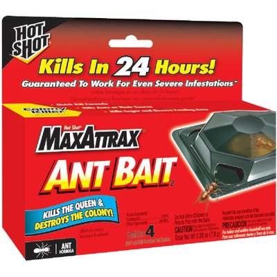 4PK ANT BAIT TRAP