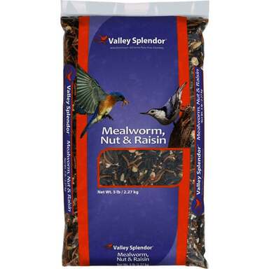 5# RR MEALWORM/NUT/RAISIN