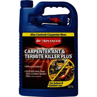 1GAL RTU ANT&TRMT KILLER