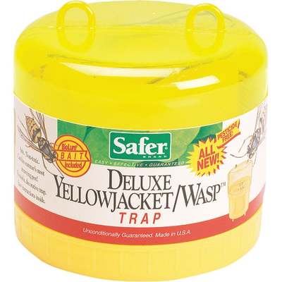 YELLOW JACKET TRAP