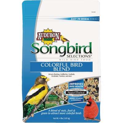 4LB COLORFUL BIRD SEED