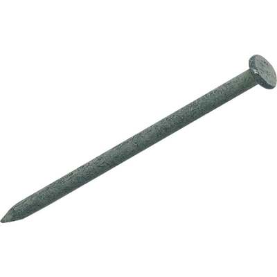 1LB HG 12D COMMON NAIL