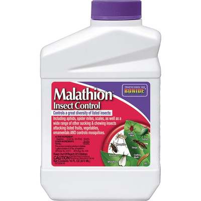 PT CONC MALATHION SPRAY