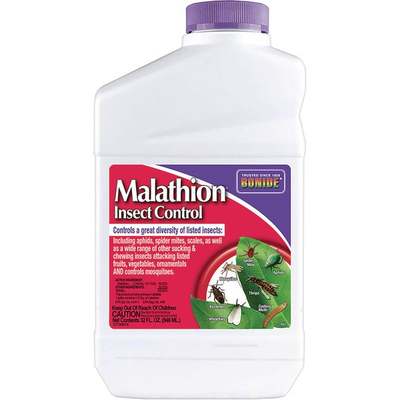 QT CONC MALATHION SPRAY