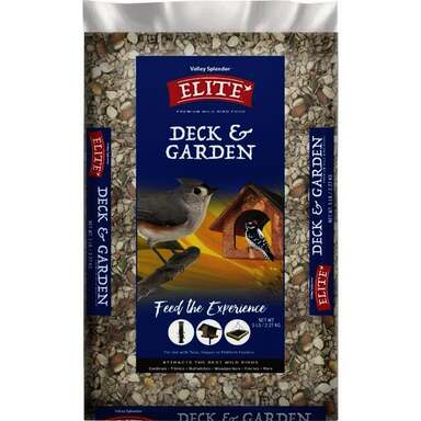 5# RR DECK&GARDEN SEED