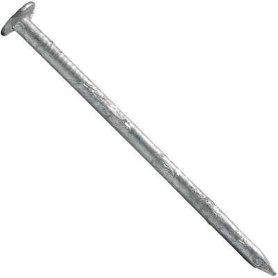 5# 2" SIDING NAIL