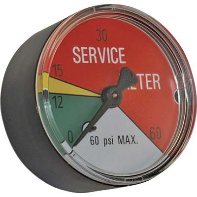 2" 60 PSI SERVICE GAUGE
