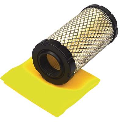 AIR FILTER WITH PRECLEAN