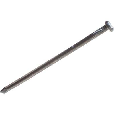 50LB 3/8X8 LNDSCP SPIKE