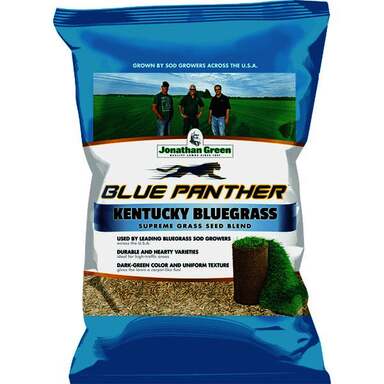 25LB BLUE PANTHER SEED