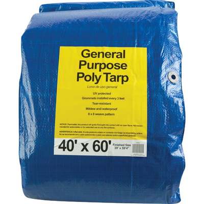 TARP BLUE 40X60AP