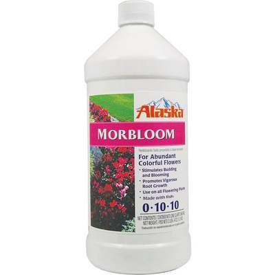 MORBLOOM 1QT