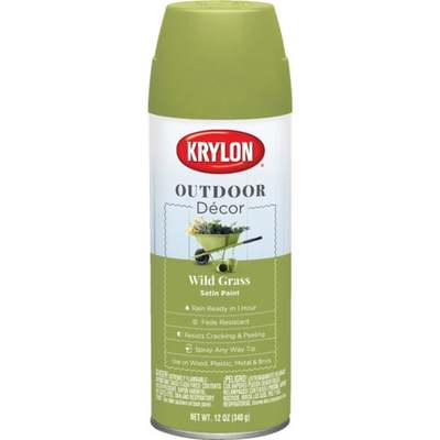 WILD GRSS OUTDR DECR SPRAY PAINT