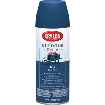 SAT IRIS OUTDR DECOR SPRAY PAINT