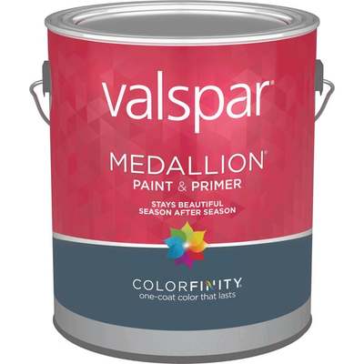 EXT SAT WHITE PAINT