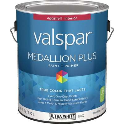 MED INT EGG WHITE BS PAINT GAL