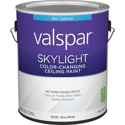 COLOR CHNG CEILING PAINT GL