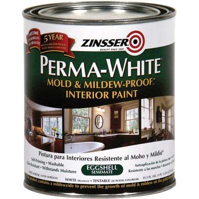 INT EGG WHT MILDEW PAINT