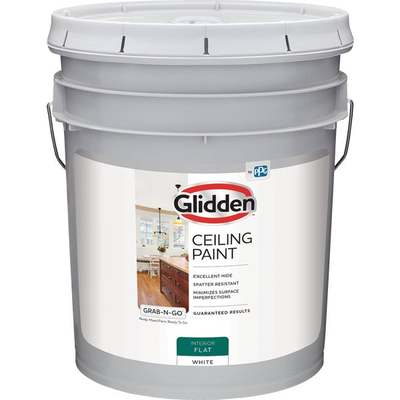 INT FLT CEILING PAINT 5G GLIDDEN