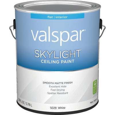 Gal Ceiling Paint Skylight