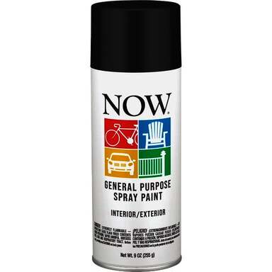 FLT BLK NOW 9 OZ SPRAY PAINT