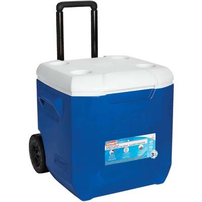 45QT BLU/WHT WHLD COOLER