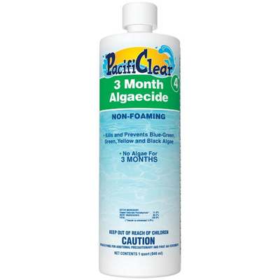 QT 3-MONTH ALGAECIDE