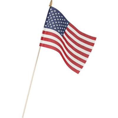 AMERICAN FLAG 8"X12"
