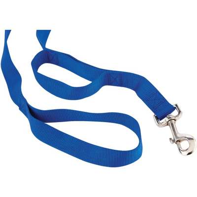 1"X6' 2IN1 LEASH