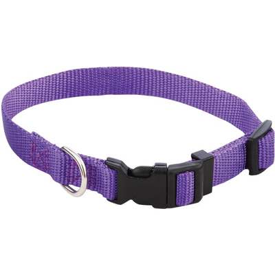 5/8X10-16 FASHION COLLAR