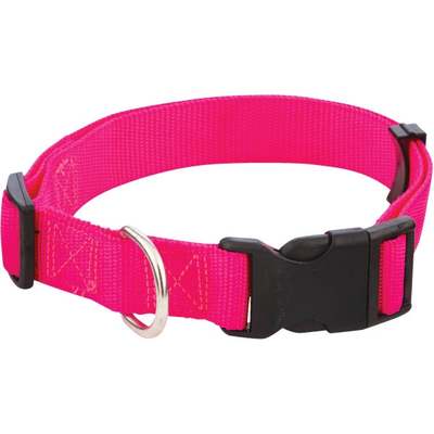 *1X18-26 FASHION COLLAR