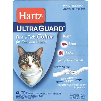 KITTEN & CAT F&T COLLAR