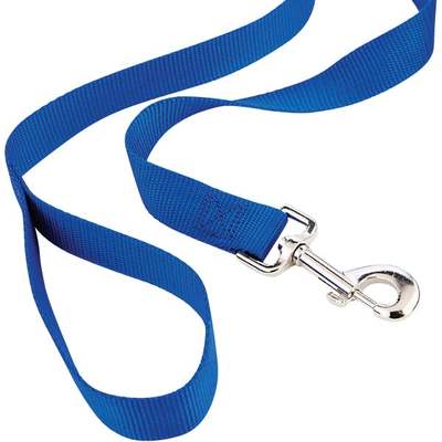 1"X6' NYLON LEASH 31486