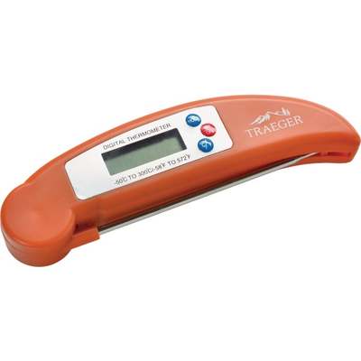 INST RD DGTL THERMOMETER