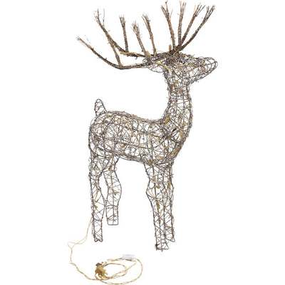 50" WW RATTAN BUCK