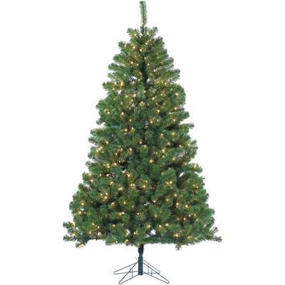 7' CLR MONTANA PINE TREE 500 BLB