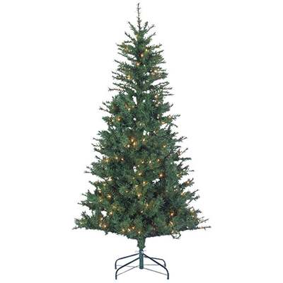 6' CLRDO SPRUCE CLR TREE