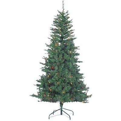 6' CLRDO SPRUCE MLT TREE