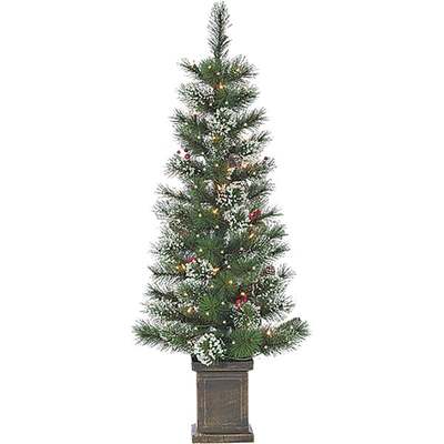 2PC 4' PTD SPRC TREE SET CLR