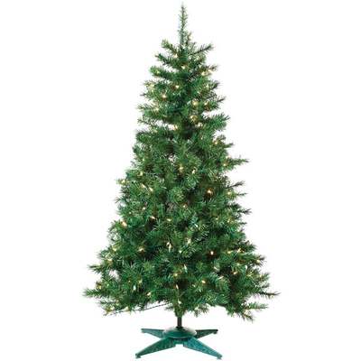 4' PL COLO SPRUCE TREE 150 BULB