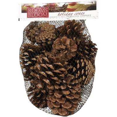 CINNAMN SCNT PINECONES