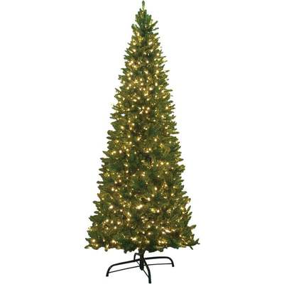 12' QC LED MTAPINE TREE