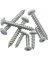 WHITE CLOSET SCREWS