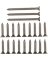 SN DOOR HINGE SCREW PACK