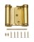 3" Double Spring Hinge Sat Brass