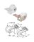 Flanged Drawer Roller