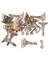 10PK SPRING LATCH