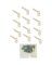 12PK WHT NYL TURN BUTTON