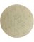 Diablo SandNet 5 In. 120 Grit Sanding Disc with Connection Pad (10-Pack)