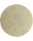 Diablo SandNet 5 In. 60 Grit Sanding Disc with Connecton Pad (10-Pack)